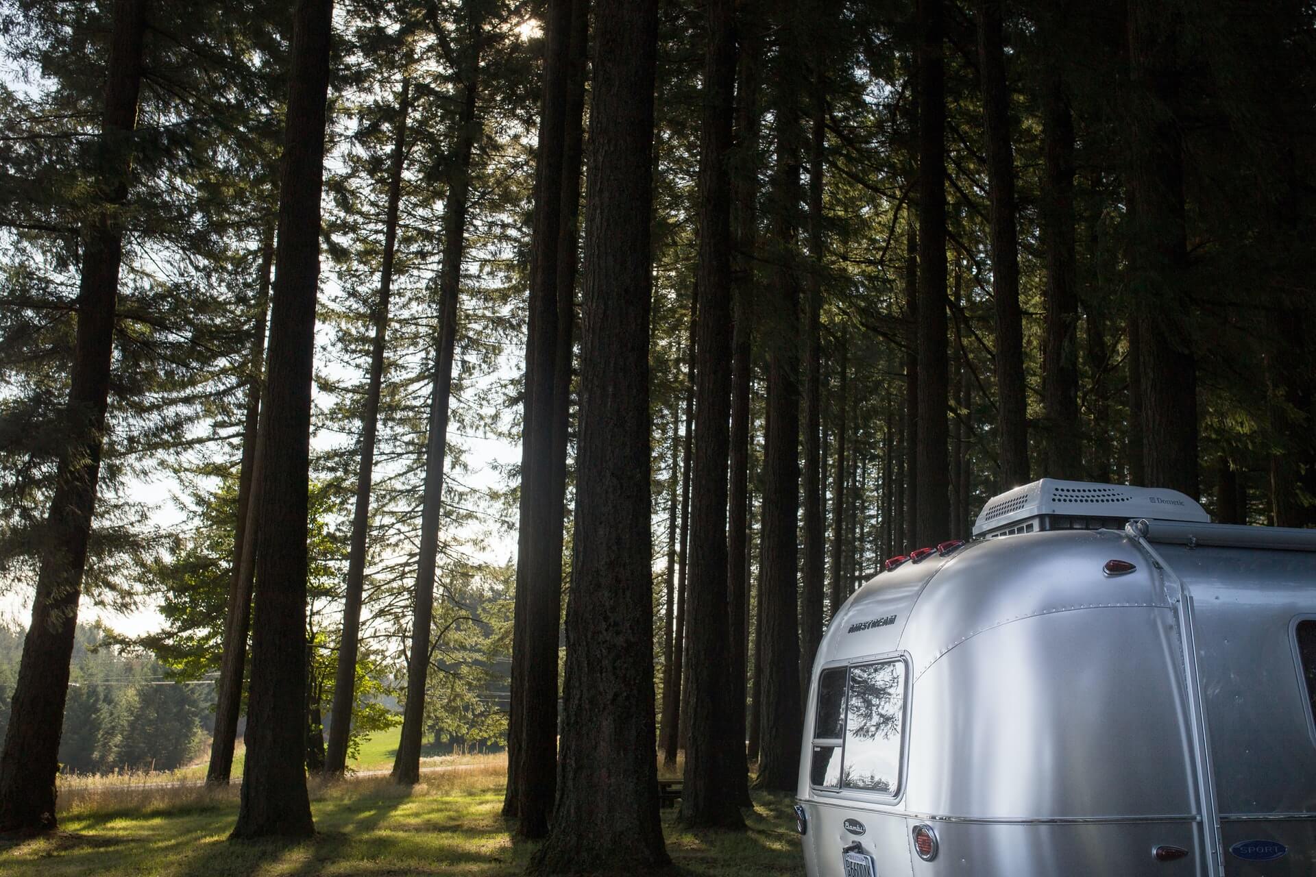 Airstream Sport trailer in the woods