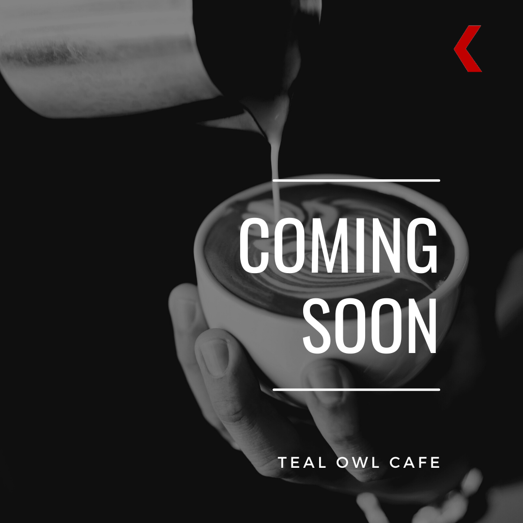 Coming Soon: Teal Owl Cafe