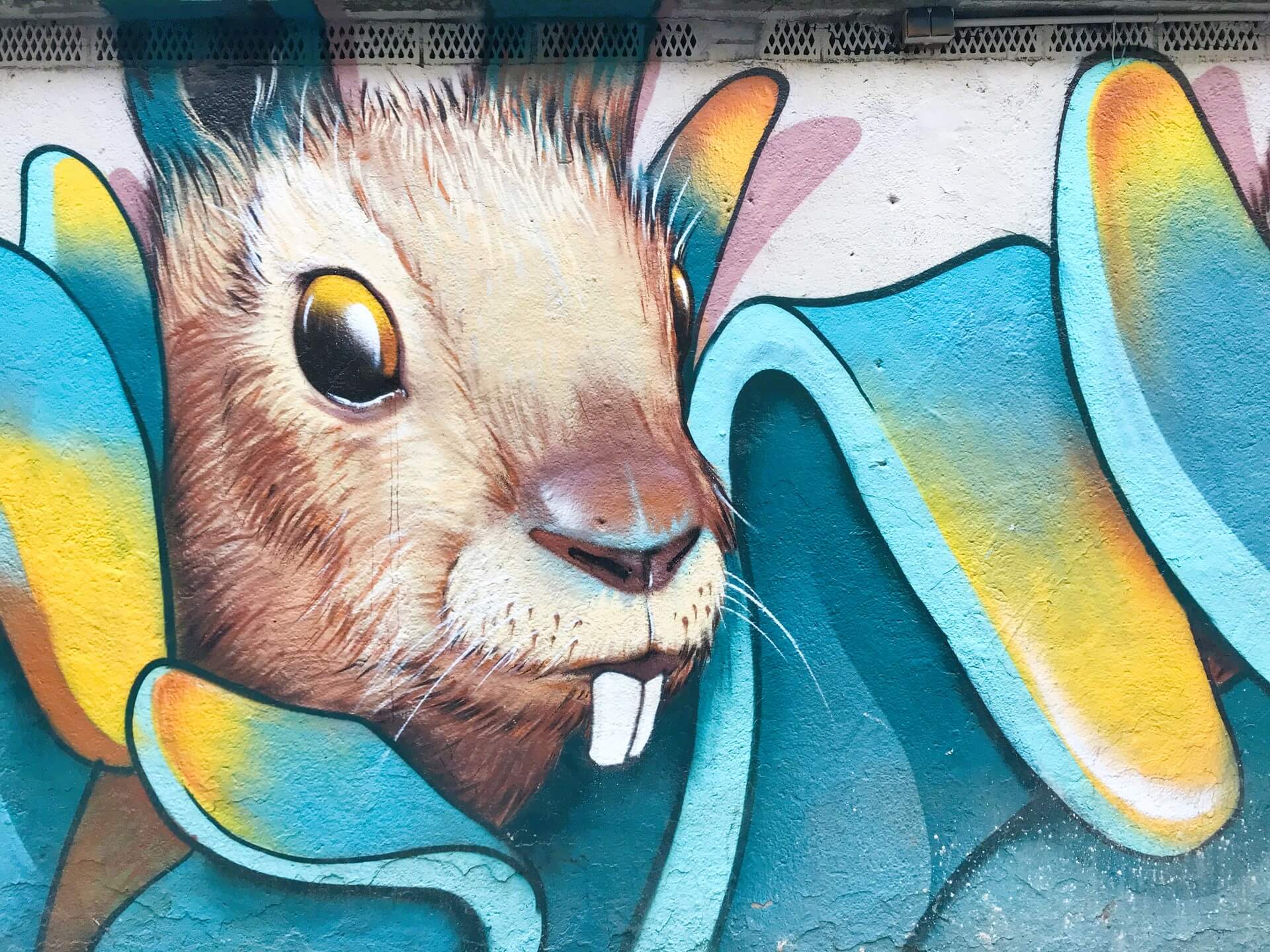 Bunny painting or graffiti