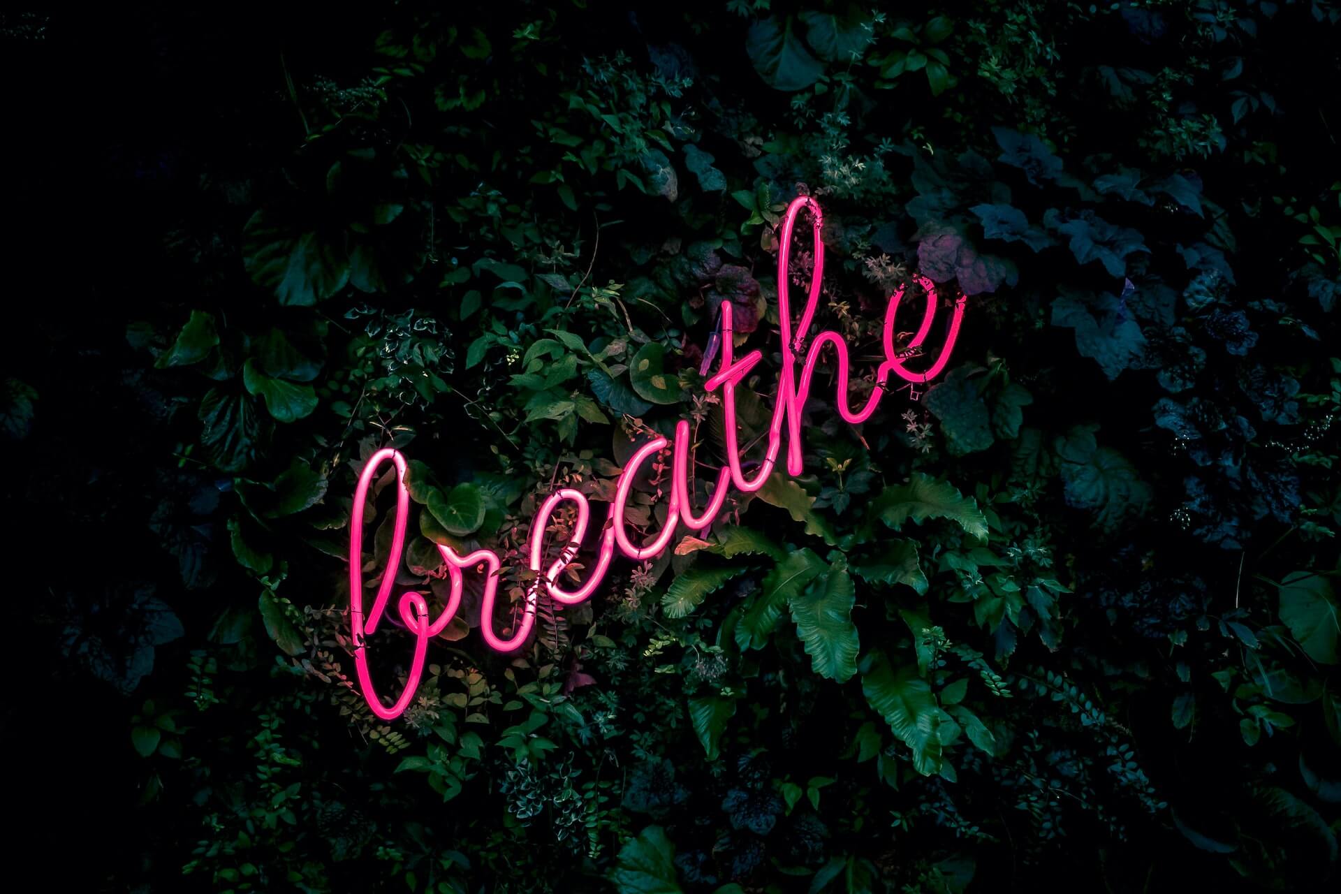 Pink neon "breathe" sign
