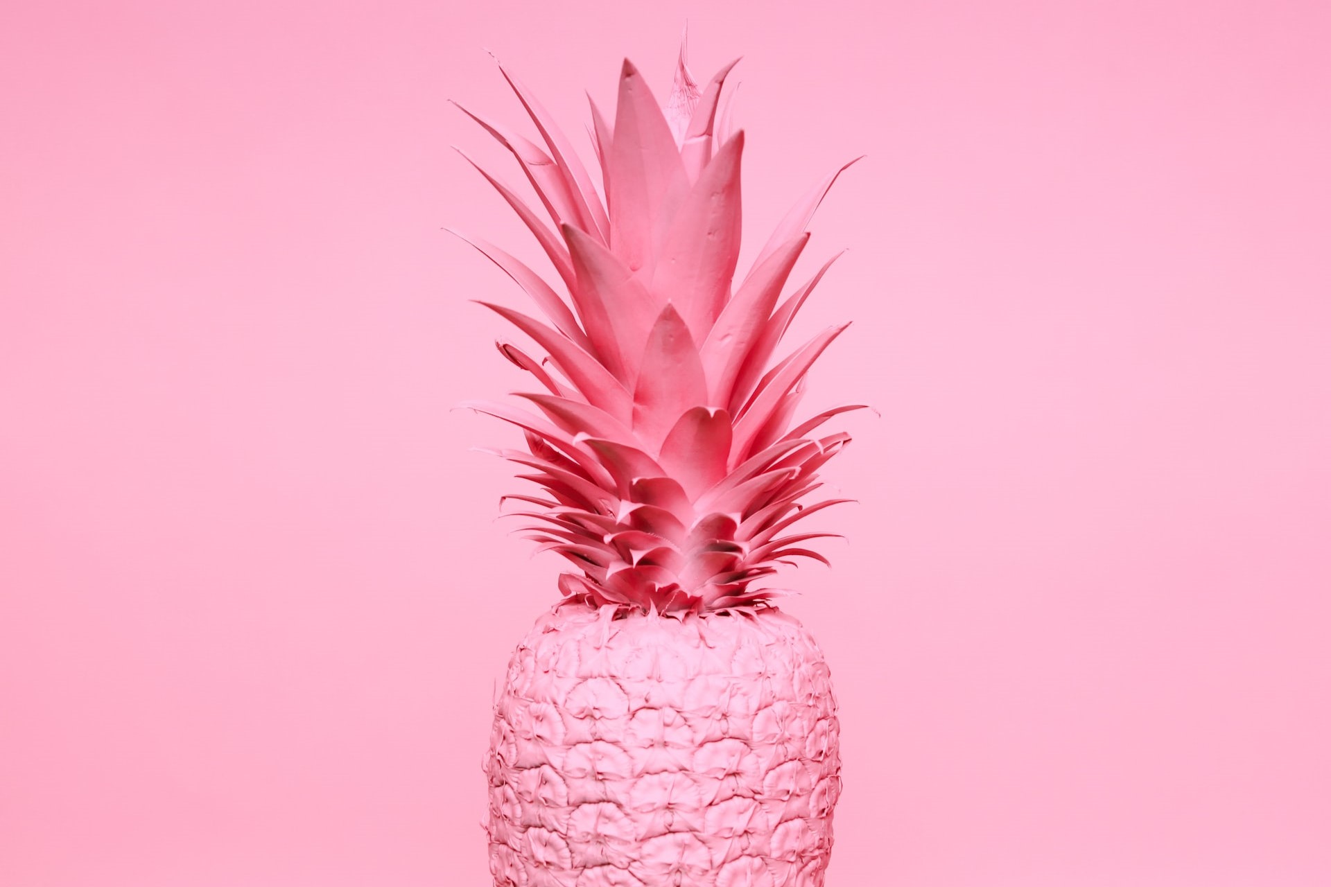 Pink pineapple against pink background