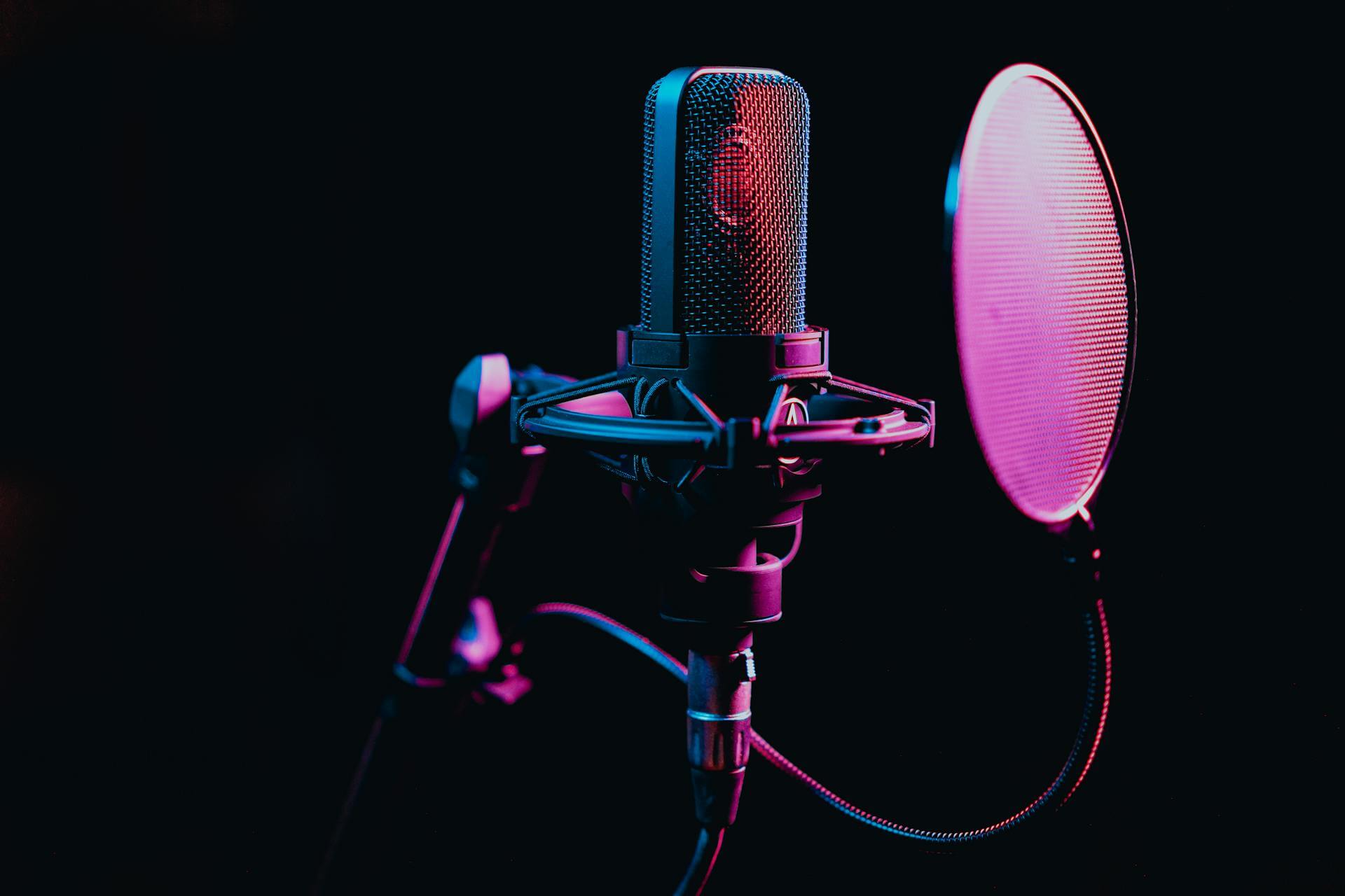 Black microphone and pop filter with purple light