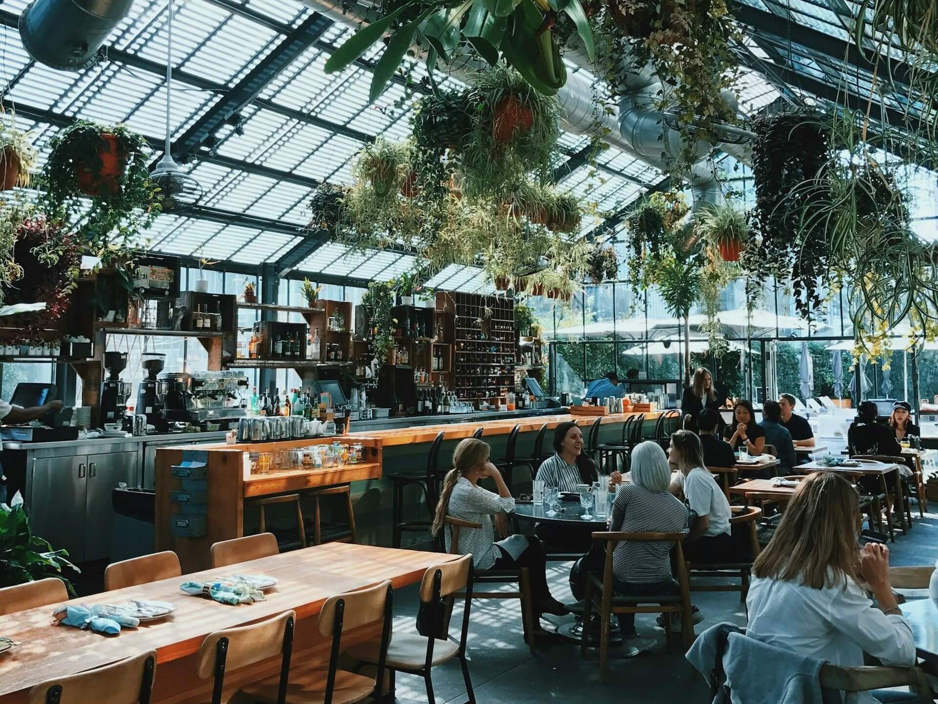 Guests dining in a light, bright restaurant featuring a glass ceiling and hanging plants