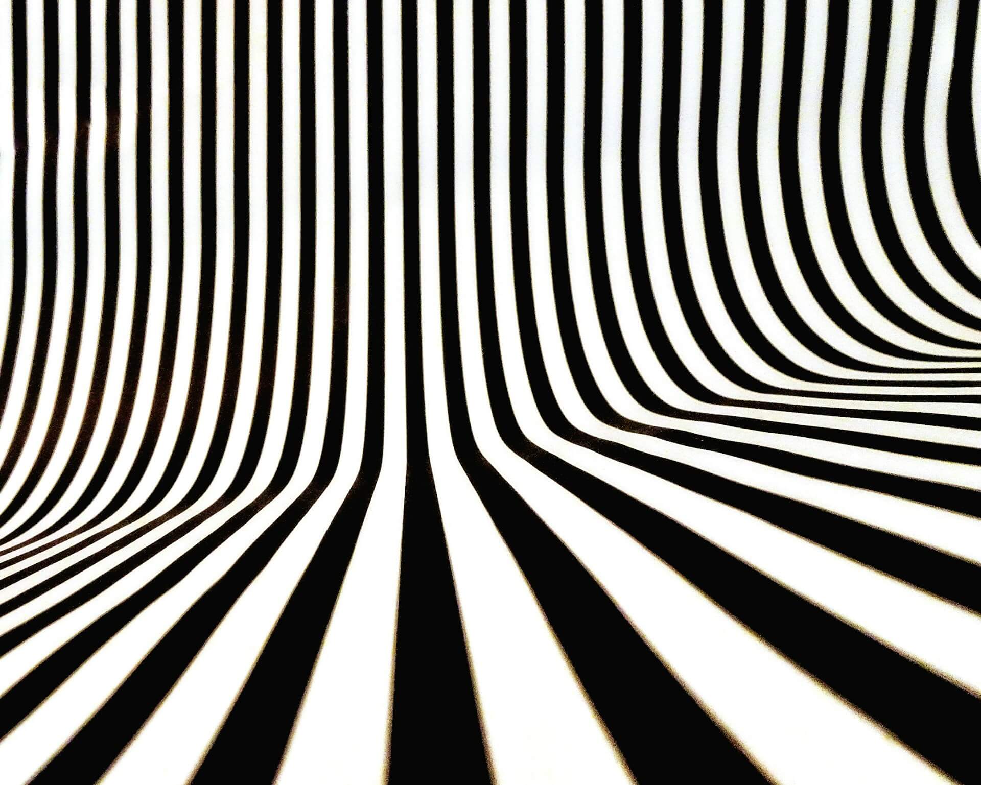 An optical illusion consisting of black and white stripes that may be curving upward and outward